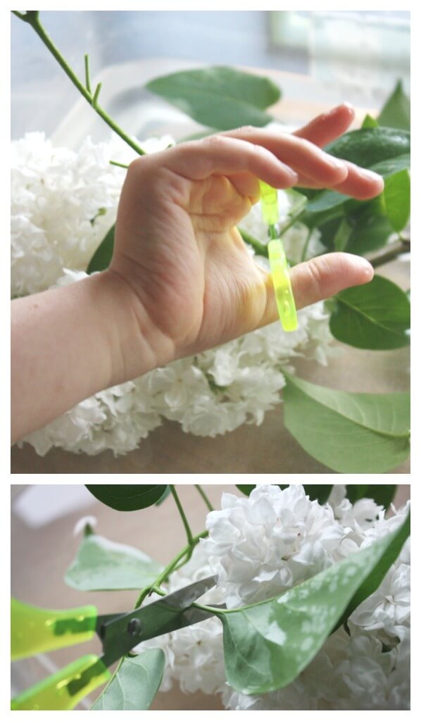 Flower Sensory Science Scissor Practice with Leaves