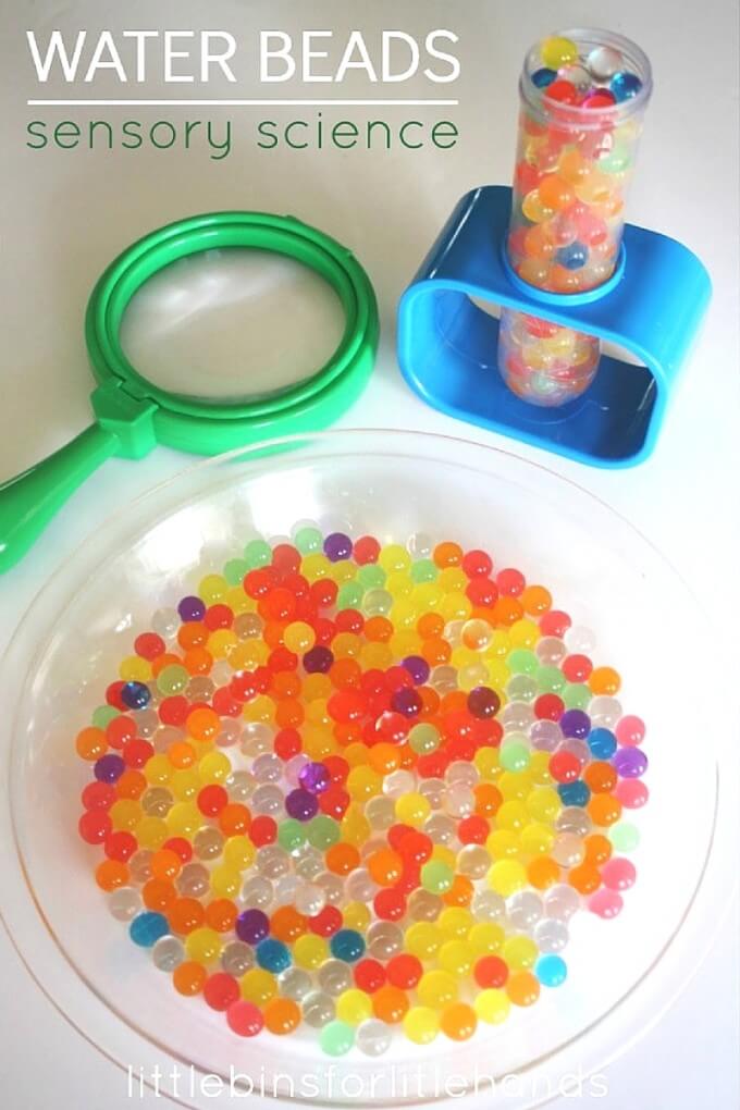 Water Beads Science Activity