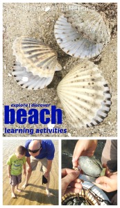 Beach Learning Activities for Kids
