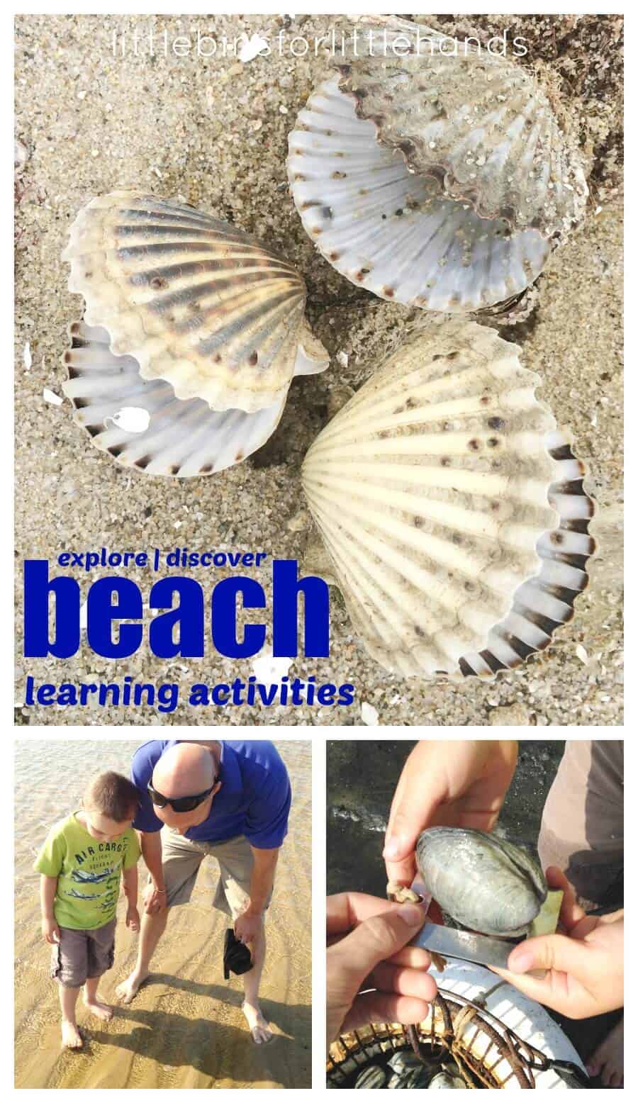 Beach Learning Activities for Kids