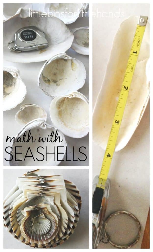 Seashells Math Activity for Kids