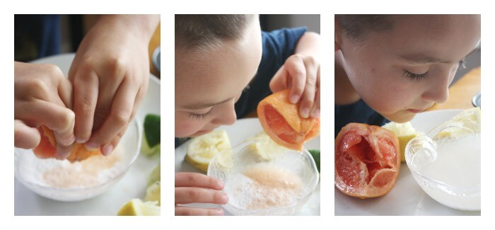 Smelling Grapefruit Chemical Reaction