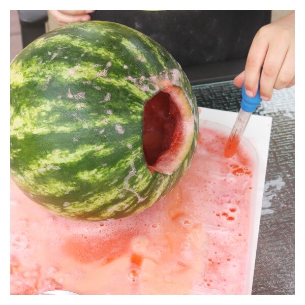 Watermelon Volcano Activity with Eye Dropper