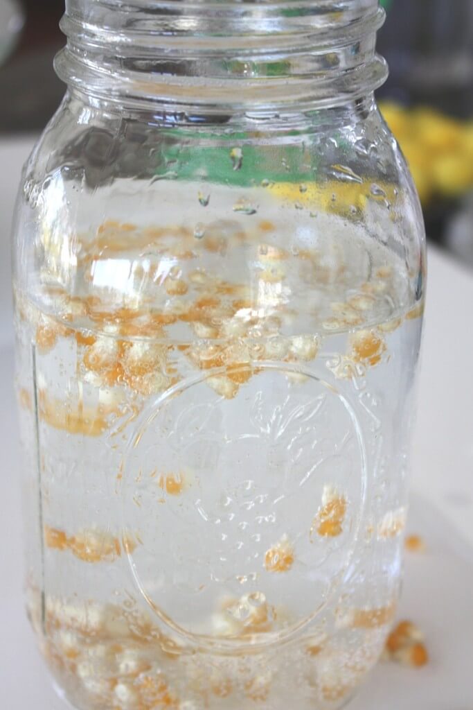 Dancing Corn Science Activity with Baking Soda and Vinegar