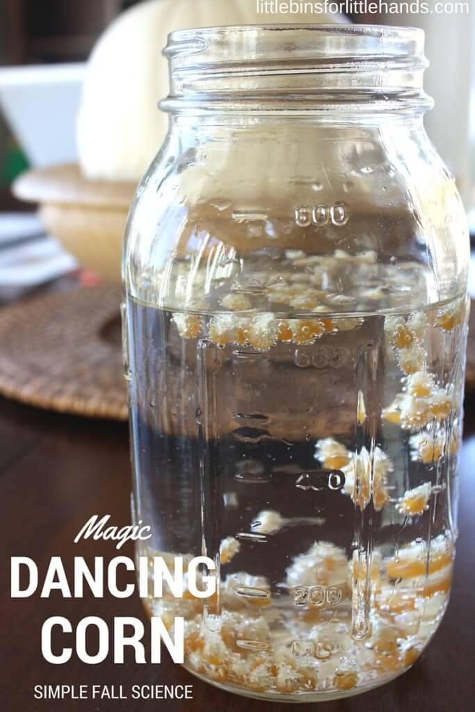 Dancing Corn Thanksgiving Science Activity for Fall