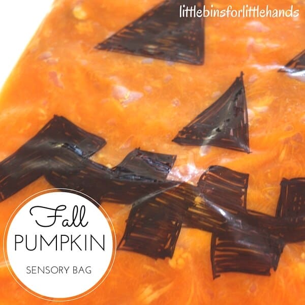 Make A Pumpkin Sensory Bag
