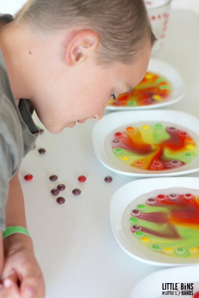watching skittles colors dissolve on plates