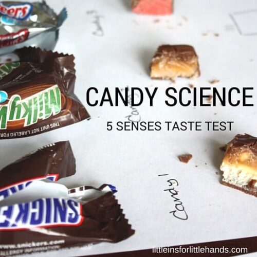 Candy Taste Test With Chocolate