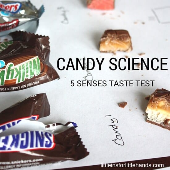 Candy Taste Test 5 Senses Science Activity with Holiday candy