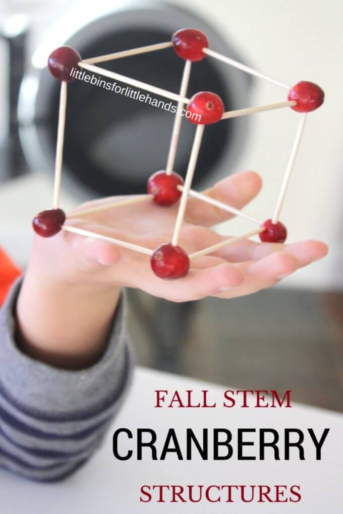 Fun and simple Thanksgiving STEM activity building cranberry structures with kids.