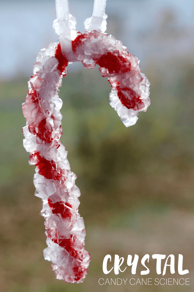 Christmas Crystal Candy Canes Science Experiment and STEM activity for Kids - Check out this great science experiment for kids! They can learn how to grow crystal candy canes with a Christmas chemistry science activity! Fun experiment for kids! #STEM #science #candycane