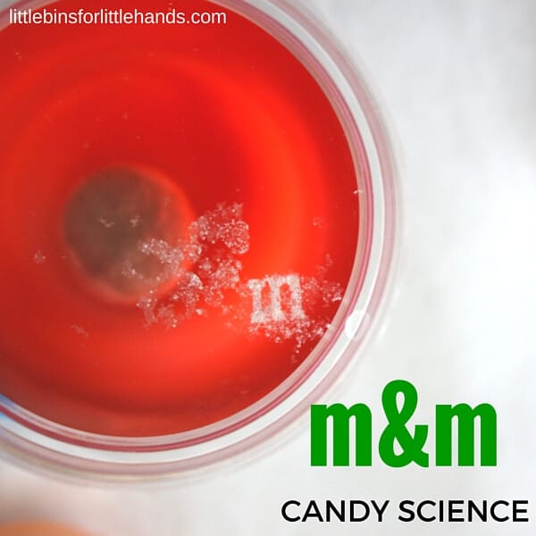Floating m m&m experiment candy science