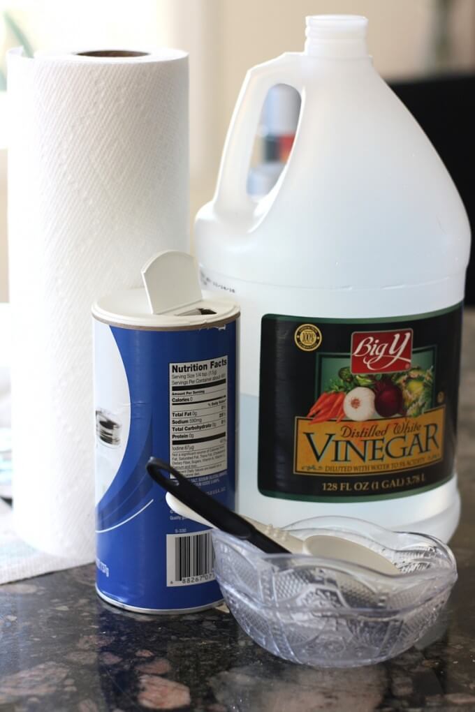 Green Pennies Science Activity Supplies Vinegar Salt