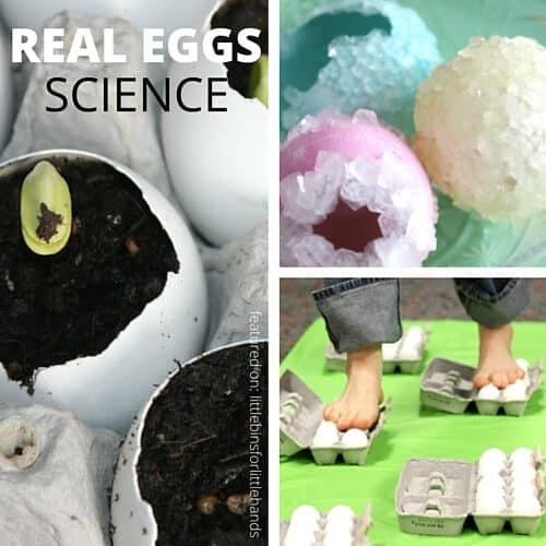 Egg Experiments and STEM Projects for Kids