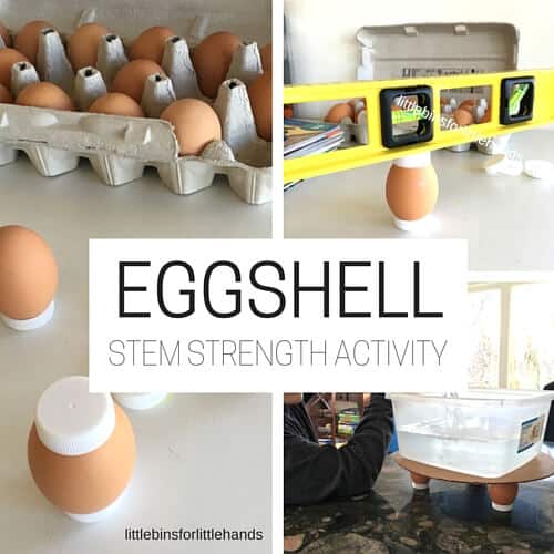 How Strong Is An Egg