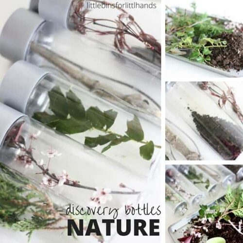 Nature Sensory Bottles