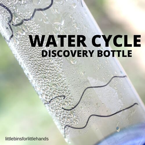 water cycle in a bottle