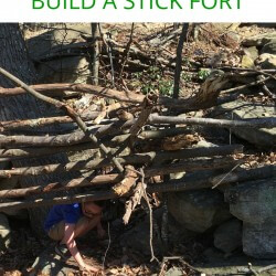 Pinterest Hidden Image