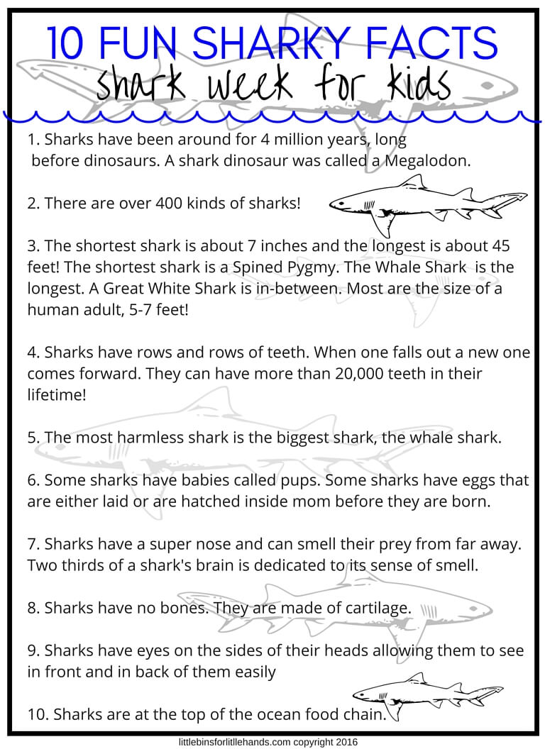 Shark Week Activities and STEM Projects for Kids