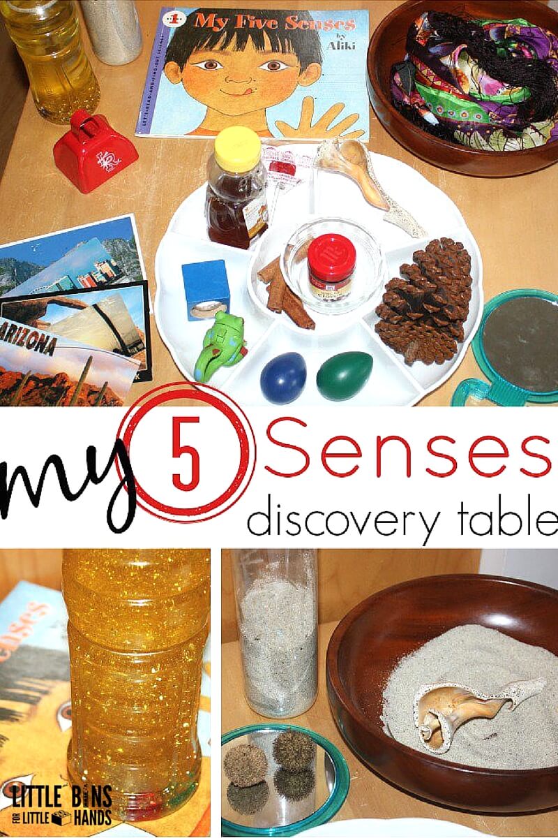 5 senses Activity Preschool Learning About Senses Science