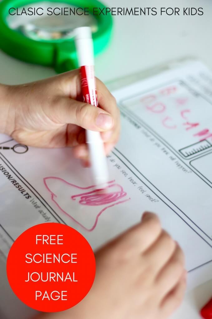 Printable Kids Science Worksheets for Science Experiments