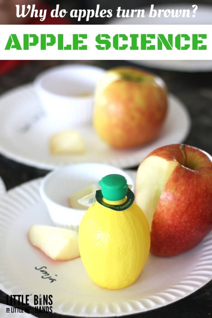 Apple Science Lemon Juice Experiment for Fall STEM