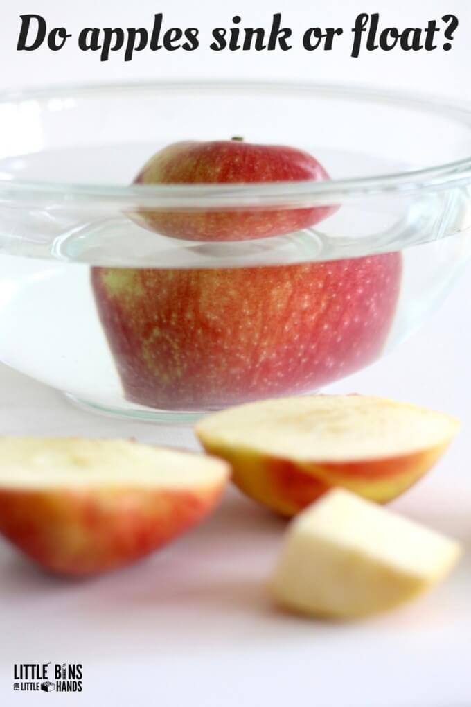 apple sink float science experiment with apple floating in bowl of water