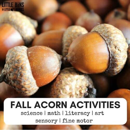 Acorn Activities For Fall Early Learning
