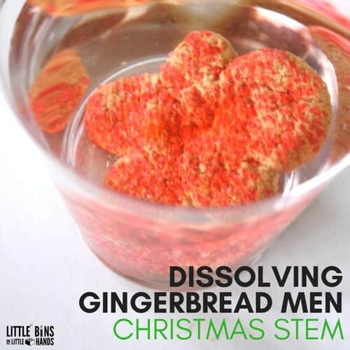 Dissolving Gingerbread Men Cookies Experiment