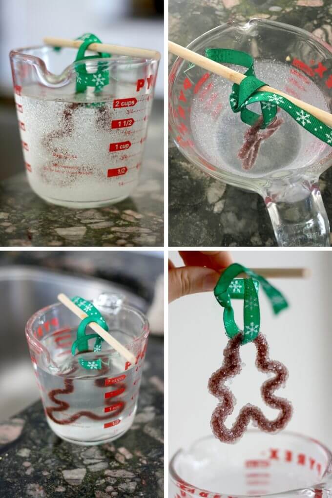 Christmas science growing crystals on a pipe cleaner gingerbread man!