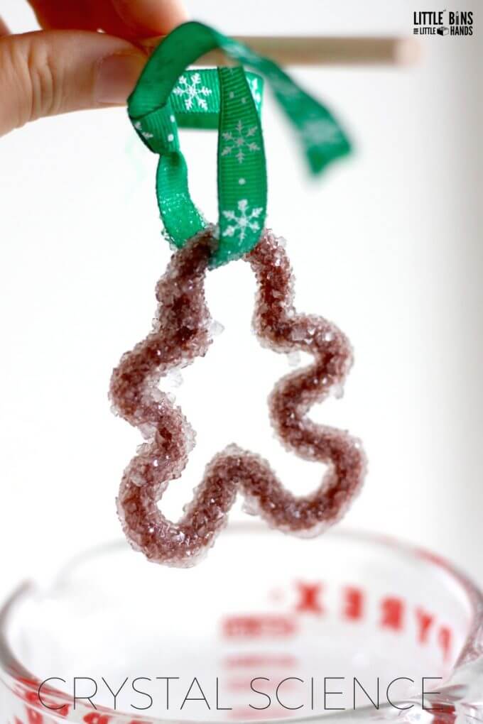 Grow a beautiful crystal ornament for a fun Christmas kids science experiment with our Christmas crystal gingerbread man science project. #STEM #science #gingerbread