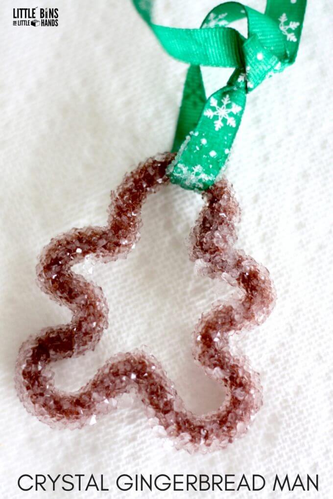 Grow a beautiful crystal ornament for a fun Christmas kids science experiment with our Christmas crystal gingerbread man science project. #STEM #science #gingerbread