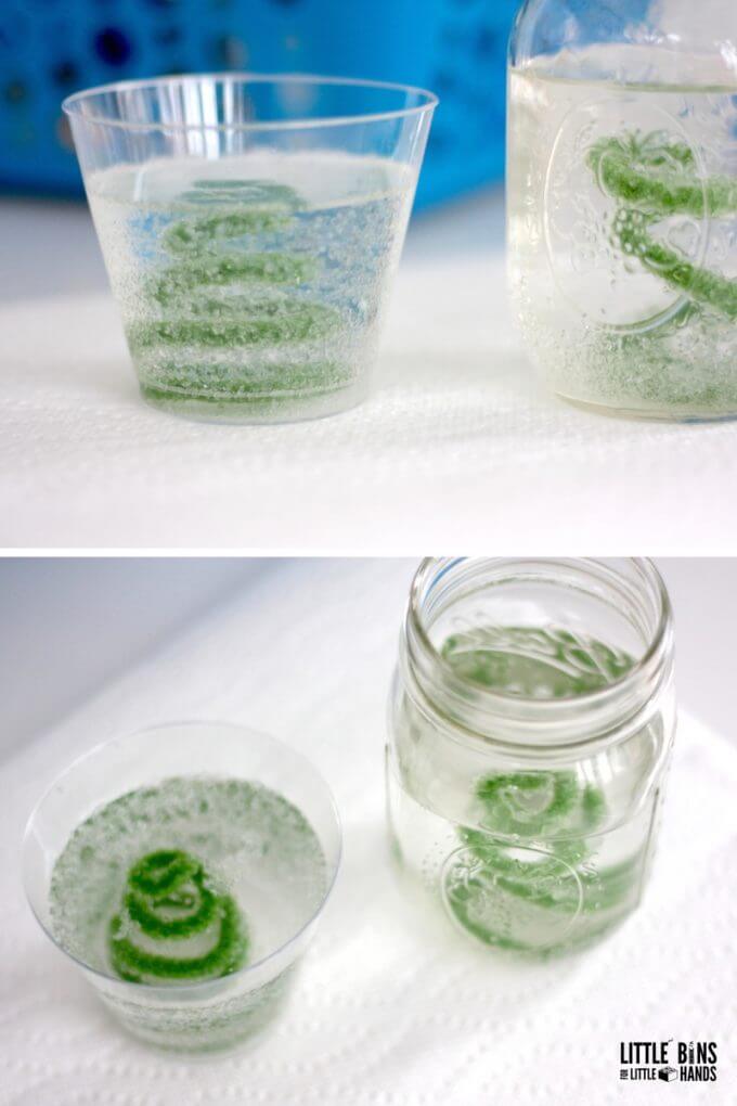 Crystal growing science activity