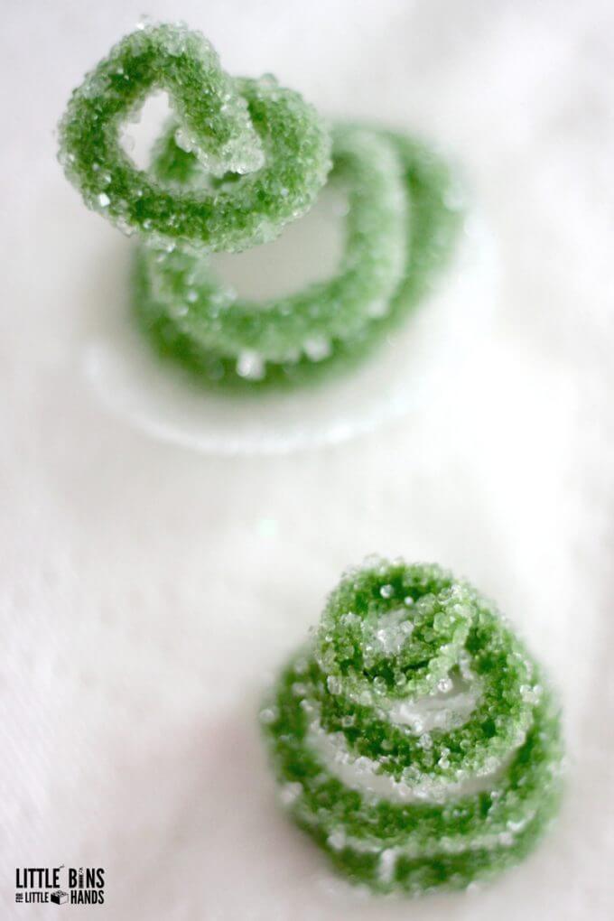 Pipe cleaner crystal trees science with borax crystals
