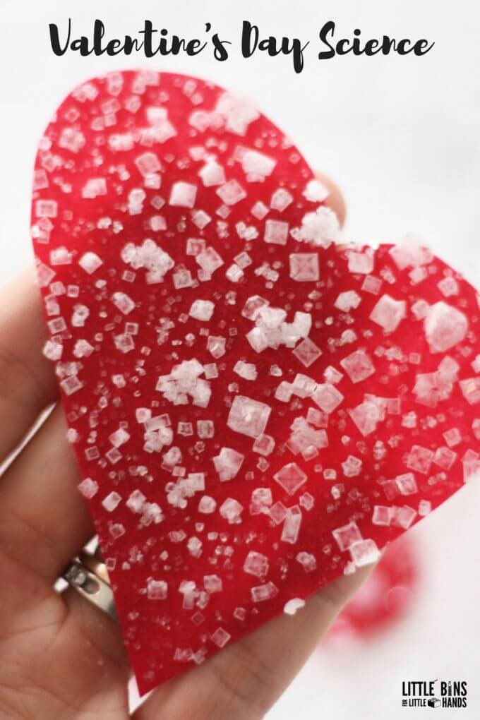 Valentines Day science with growing salt crystal hearts to explore simple chemistry
