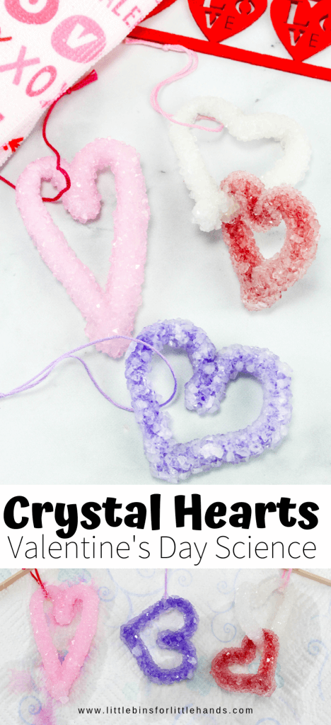 Learn how to grow heart shaped crystals for Valentines Day science 