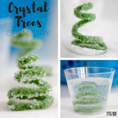 Pipe cleaner crystal tree for winter chemistry science experiment