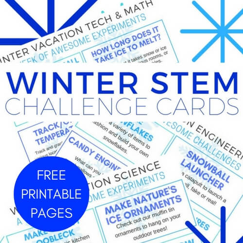 https://littlebinsforlittlehands.com/wp-content/uploads/2016/12/Winter-STEM-Challenge-Cards-Free-Printable-Pages-Winter-Activities-for-Kids.jpg