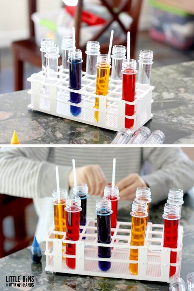 Walking Water Science Experiment for Kids STEM and Rainbow Science