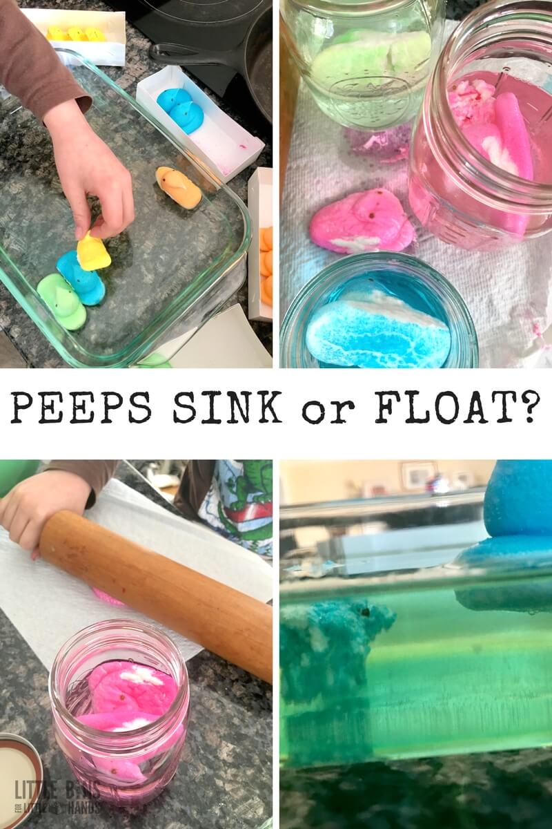 Sink or Float Peeps Science Experiments and Activities