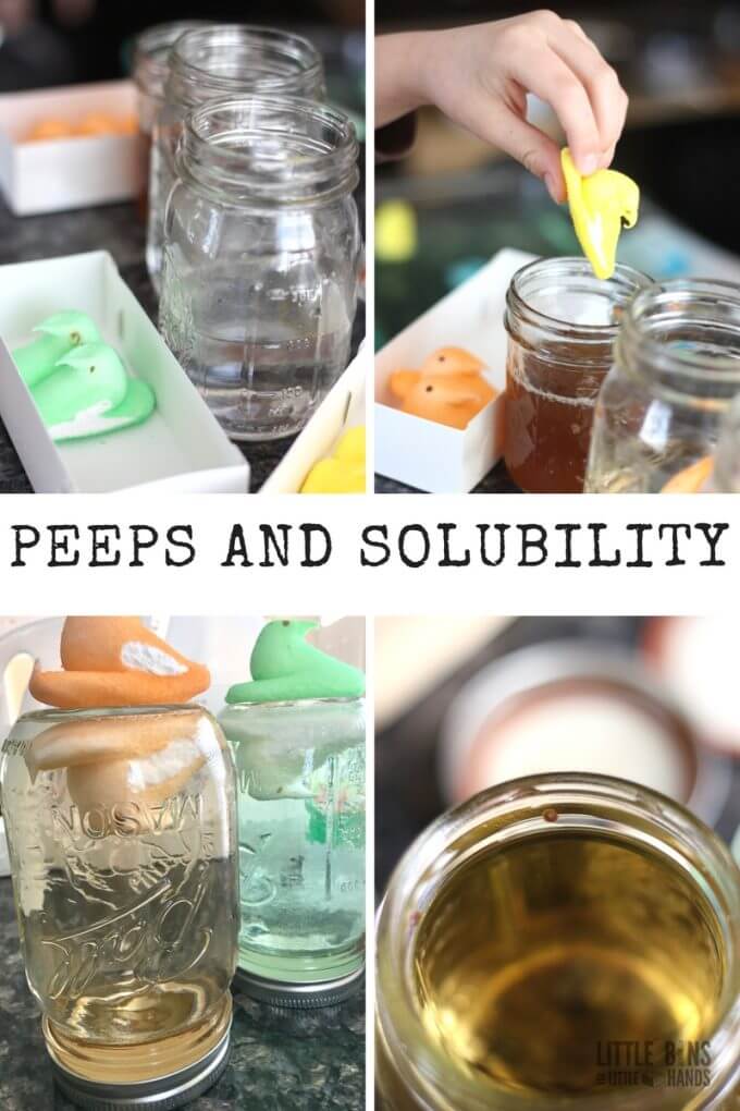 Peeps Dissolving Solubility Science Experiments and Activities 