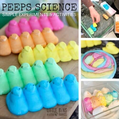 Peeps Science Experiments and Activities for Kids with Free Printables