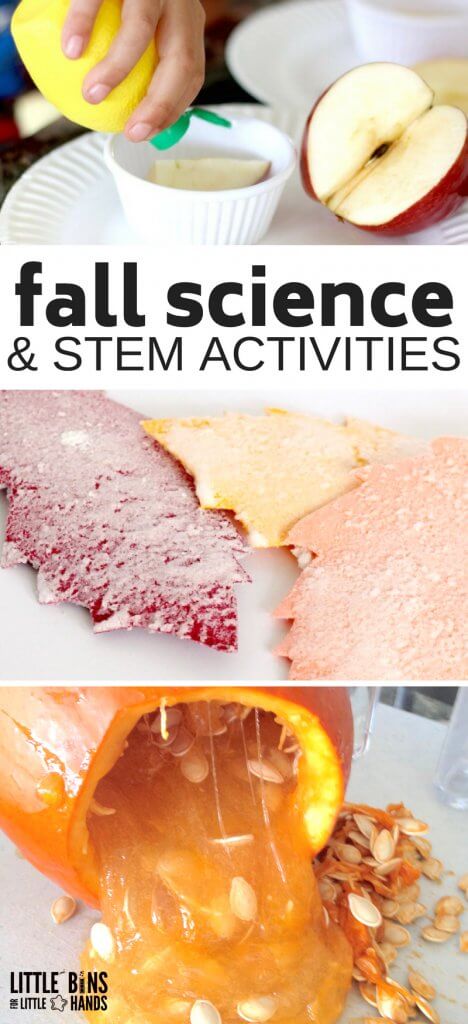 Get creative with your fall science activities and fall STEM ideas this season. Here are the favorites for must try, amazingly cool fall science and STEM activities your kids will love. Fall always reminds me of  apples and pumpkins. These unique, hands-on ideas are sure to be a big hit and provide an educational punch too! Make science and STEM a special part of every season