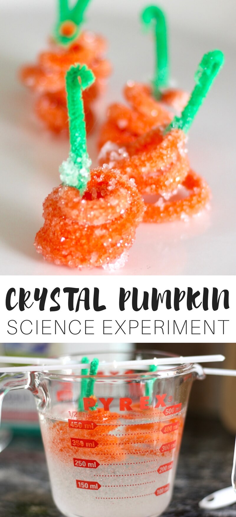 Easy to set up pumpkin crystal science experiment growing borax crystals with kids! Pair this pumpkin themed science activity with a classic book like 5 lLittle Pumpkins Sitting On A Gate! Growing crystals is awesome kid science you can do at home or in the classroom. Fall science, pumpkin science, crystal growing science for preschool, kindergarten, and early elementary age kids.