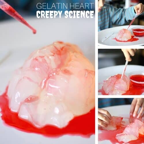 gelatin heart halloween science experiment