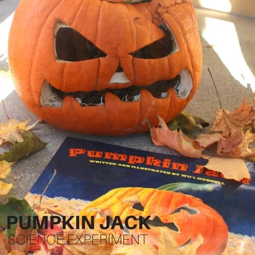 Rotting Pumpkin Jack Experiment