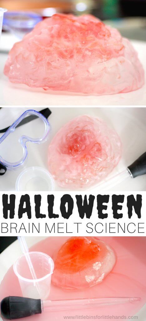 Frankenstein's frozen brain Halloween science activity is perfect for a little bit of creepy kid science this Halloween. Halloween science experiments for kids can be super easy to set up and we used a brain gelatin mold to create our ice melting brain science experiment! 