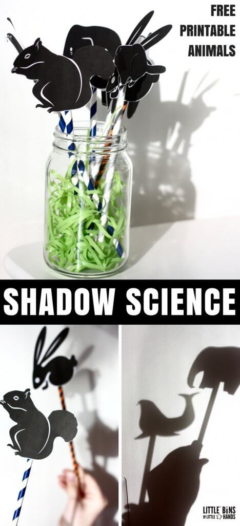 Set up simple and fun science with animal silhouette puppets! Check out this cool shadow science physics activity perfect for playful science kids will love! Fun all year long or as a special Ground hogs day activity. This shadow science activity includes free printable animal sheets.