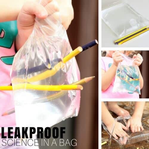 Leakproof Bag Experiment
