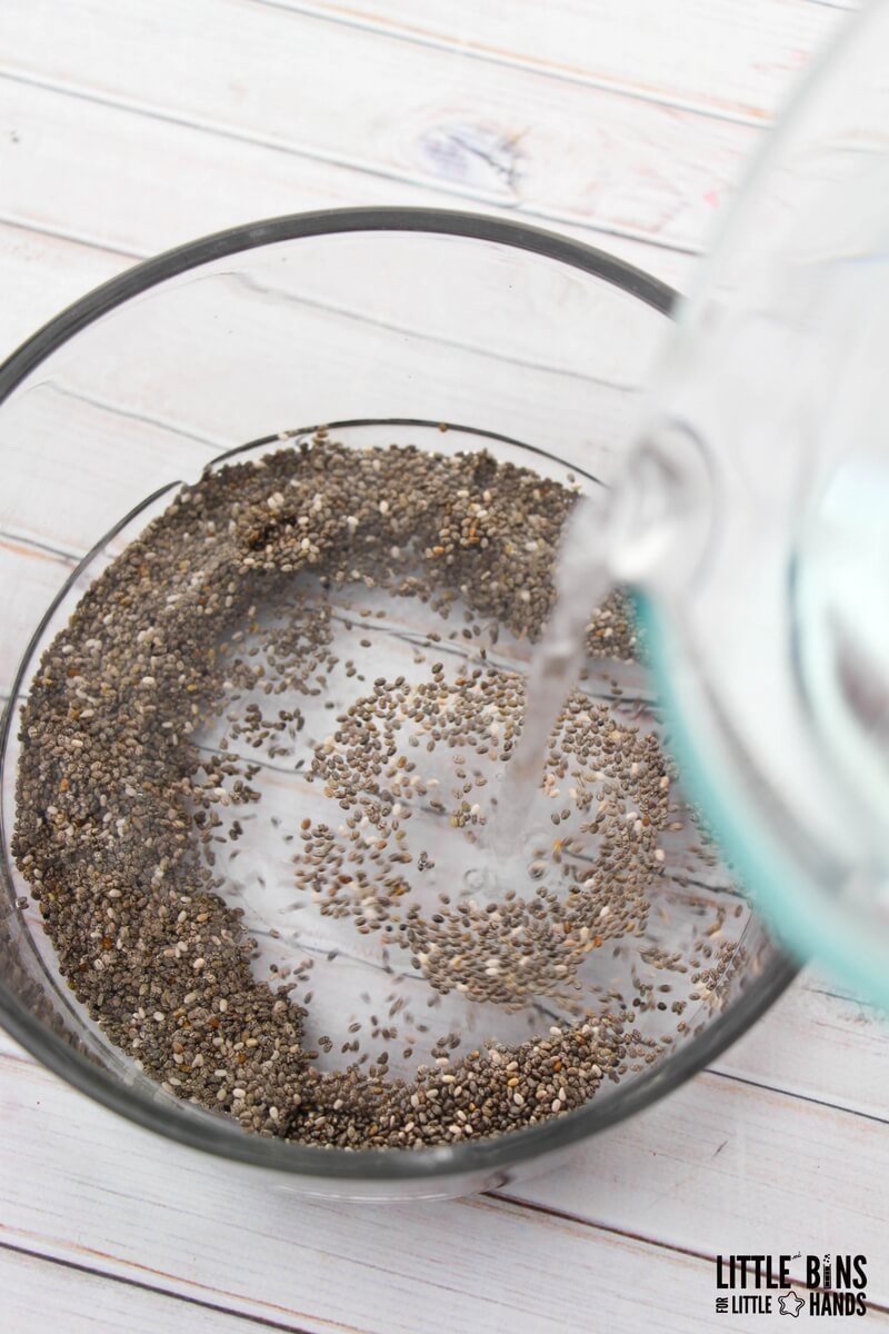 Chia Seed Edible Slime Recipe : get the chia seeds soaking